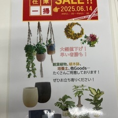 ガレージセール開催予定‼️  6月14日 11:00〜15…