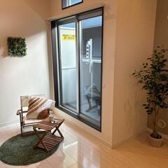 🌟敷礼無料！爽やかで快適なお部屋で、ペットと共存できる空間。