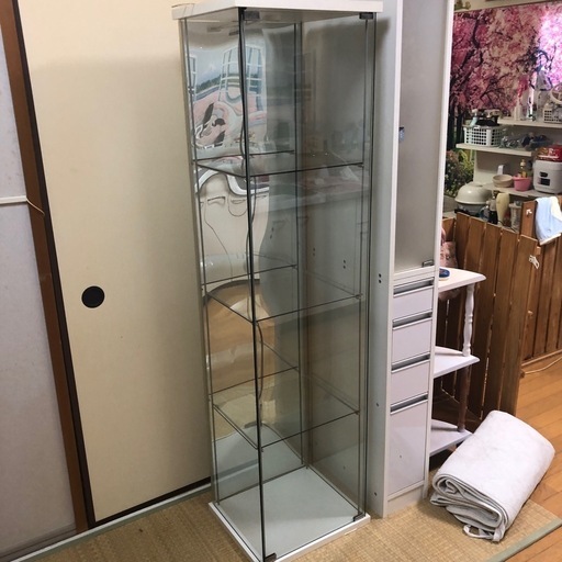 ★決定しました★ガラスショーケース