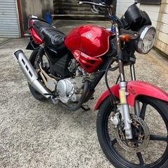 エンジン始動動画あり　堺市堺区　YBR125の画像