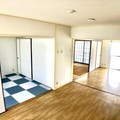 🌟敷礼無料！南向きバルコニーで快適な暮らしを。