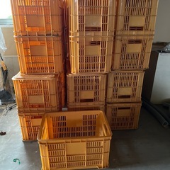 果物カゴ/フルーツ/収穫/箱/BOX/工具/道具
