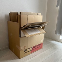 ダンボール箱　15枚