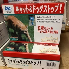 キャットストップ6/12.6/19現地販売