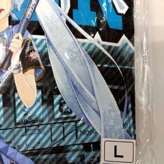 未使用品 日本ハムファイターズ×雪ミク Tシャツ Lサイズ 日ハム Fighters×SNOW MIKU 初音ミク 半袖 札幌市 中央区 南12条の画像