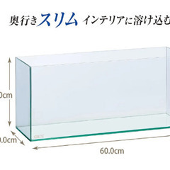 ジェックス グラステリアスリム600 フレームレス水槽の画像