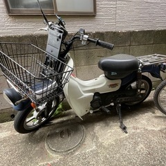 スズキ　Birdie（バーディ）原付50cc