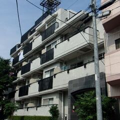 🏢コーラルハイツ成増ウイング　４階　東南角部屋　２LDK　…