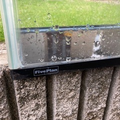 30センチ水槽2個の画像