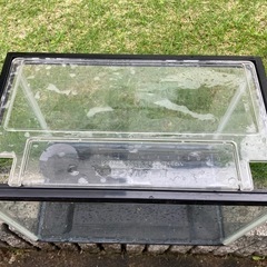 30センチ水槽2個の画像