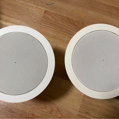 BOSE DS16FW Ceiling Mount Speake...