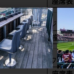 6月13日阪神戦チケット1枚の画像