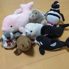 海の生き物　ぬいぐるみ