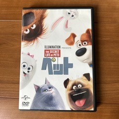 ペット、DVD