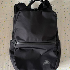 グレゴリー　GREGORY バックパック　20L 通勤　通学　多...
