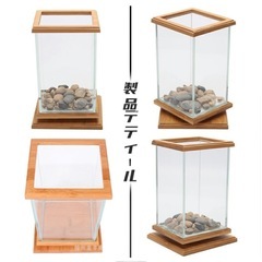 可愛い水槽の画像