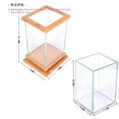 可愛い水槽の画像