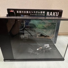 ラクテリア　ブラック