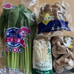 ①国産野菜セット（4種類）