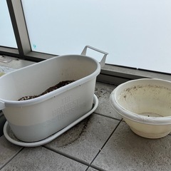 ②鉢２つ　受け皿付き