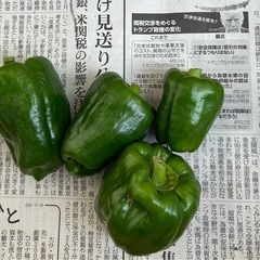 ピーマン