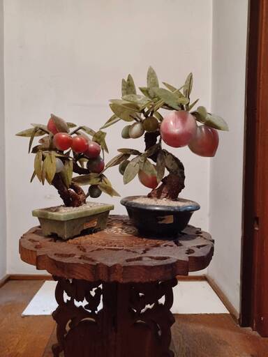 【値下げ】【来福】幸運の木 中国広東省製 翡翠の鉢植え（桃の木）