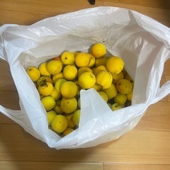 梅と紫玉ねぎ