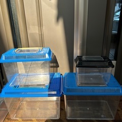 プラケース虫かご、昆虫飼育ケース4点セット