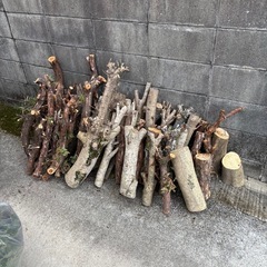 伐採した木