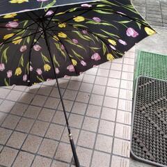 未使用  ジャンプ傘の画像