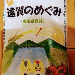 福岡県産　こしひかり　06年産　6月上旬精米　農薬最低限　