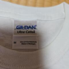 GILDANTシャツの画像