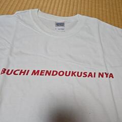 GILDANTシャツの画像