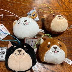 忠犬もちしば　4つ