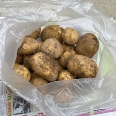 無農薬 じゃがいも きたあかり