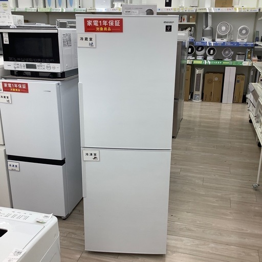 IRIS OHYAMAの2ドア冷蔵庫のご紹介！(トレファク寝屋川)