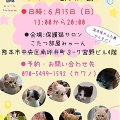 🐱こねこ譲渡会🐱🩷保護猫サロン「こたつ部屋みゃ〜ん」6/15