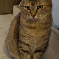 人見知りなし！穏やかメイちゃん✨誰にでも懐きます😍