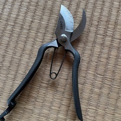 剪定鋏の画像
