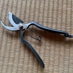 剪定鋏の画像