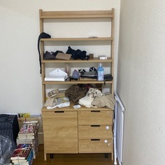 棚