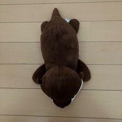 シャチ、カワウソぬいぐるみの画像