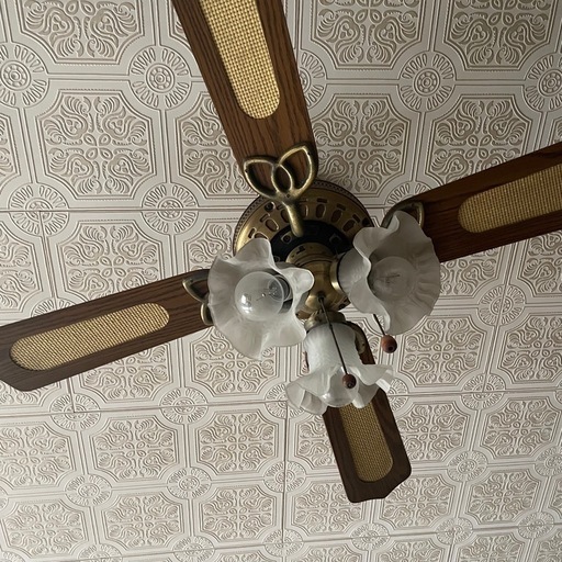 シーリングファンライト