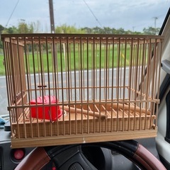 綺麗な鳥🦆小屋