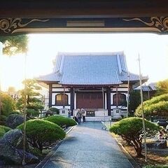 寺ヨガの画像