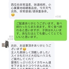 スイカの画像