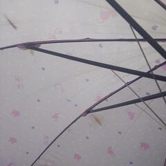 女の子 雨傘 3本セット の画像