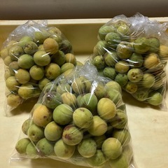 中梅　青梅　1kg 一袋300円　　　