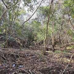 ★★ 目の前には堰がある3136坪の広大な土地！ ★★
