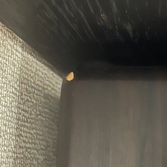 【取りに来られる方限定】ヤマハクラビーノ
ピアノの画像